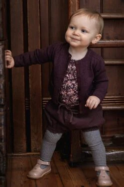 Wheat India Short (Size 6M Left)